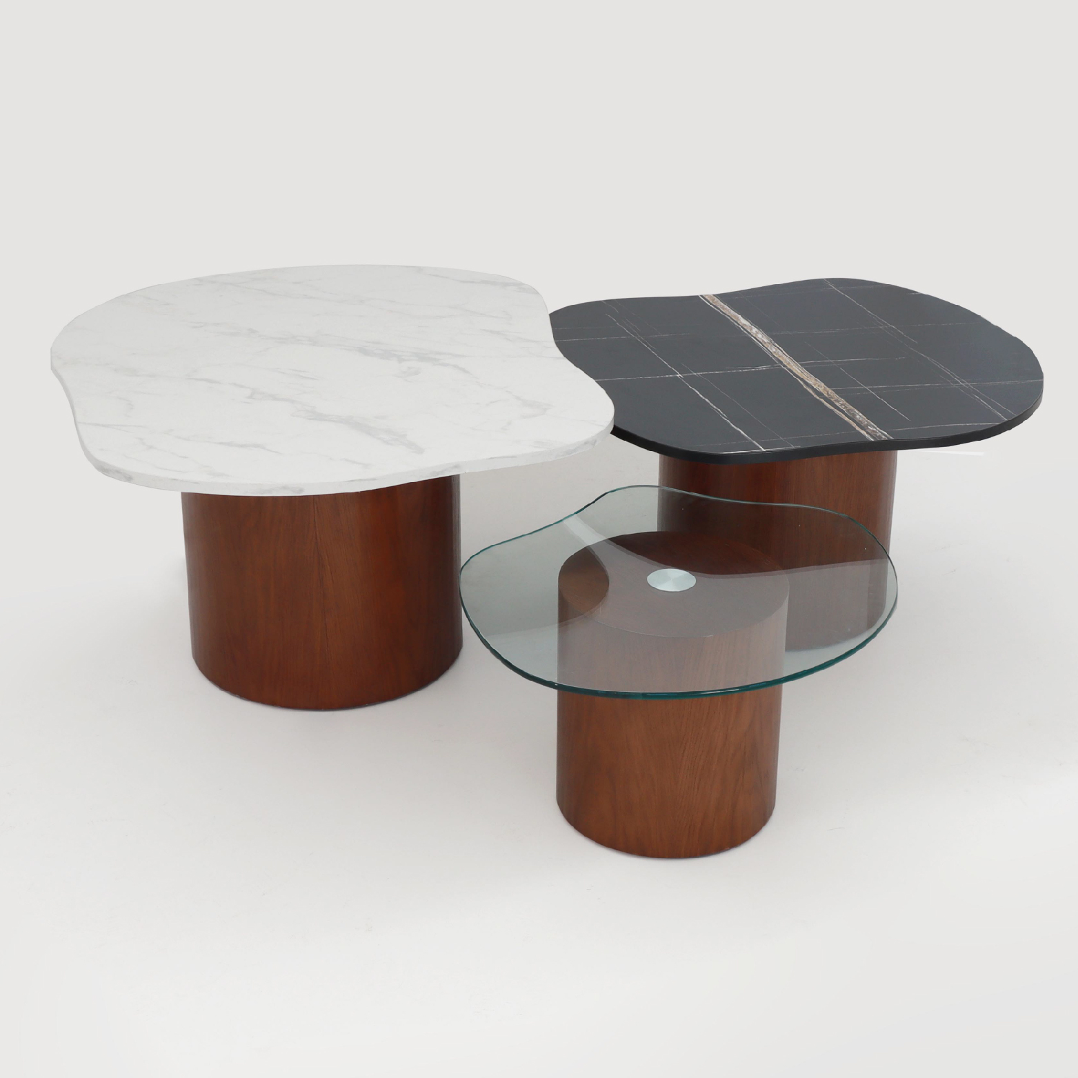 CHAMPIGNON_Plan de travail 1