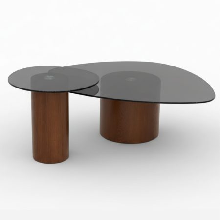 ENSEMBLE DE 2 TABLES BASSES SPOON VITRE FUME GRIS SOCLE NOYER - Ensemble