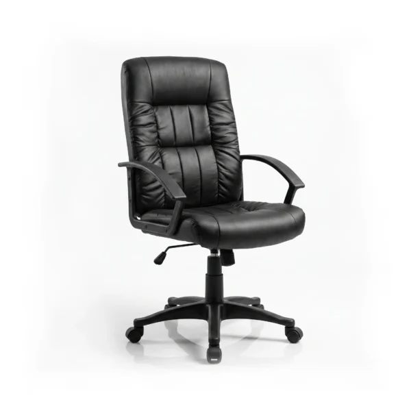 DIRECTEUR AMI
